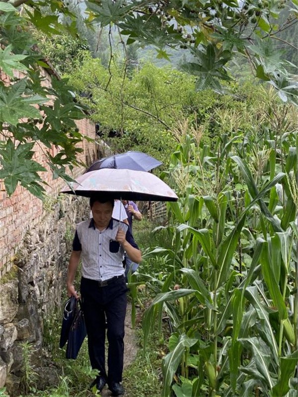 七一献礼:律师赶场赴深山 助力脱贫调解忙